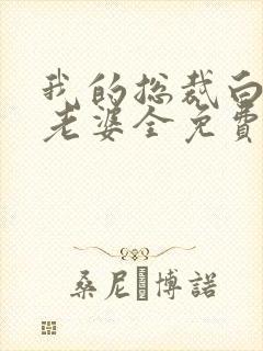 我的总裁白富美老婆全免费的小说封面
