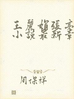 王丽娟张亮张爽小说最新章节