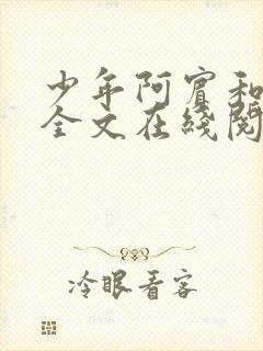 少年阿宾和房东全文在线阅读