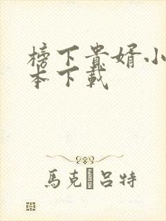 榜下贵婿小说全本下载