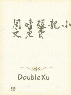 周晴张龙小说全文免费
