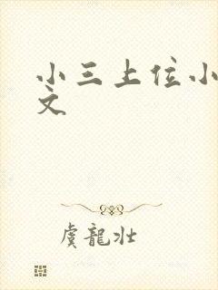 小三上位小说全文封面