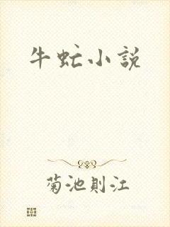 牛虻小说封面