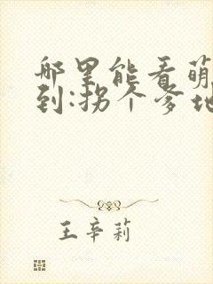 哪里能看萌宝驾到:拐个爹地送妈咪