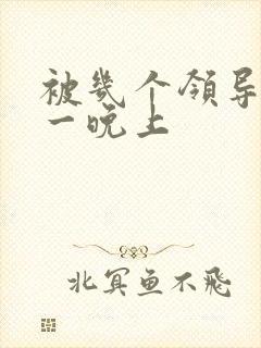 被几个领导玩弄一晚上