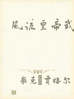 风流皇帝武则天封面