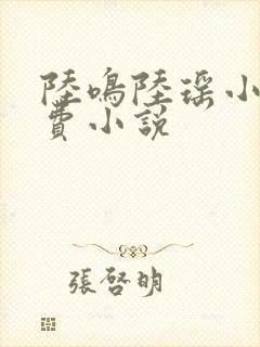 陆鸣陆瑶小说免费小说