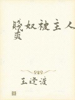 贱奴被主人玩好爽
