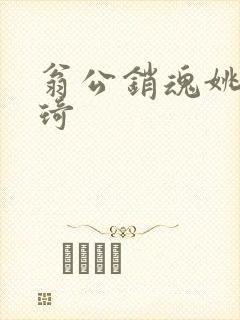 翁公销魂姚瑶琦琦封面