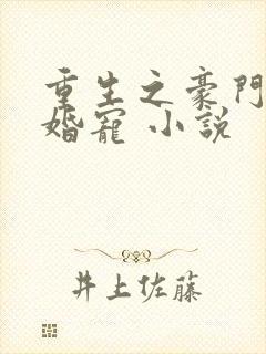 重生之豪门第一婚宠 小说封面