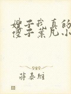 嫂子我真的不是傻子叶凡小说 原名