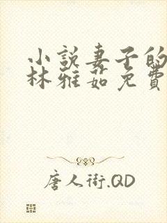 小说妻子的秘密林雅茹免费阅读封面