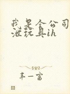 我是全公司的发泄玩具ih