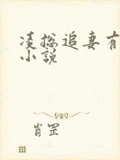 凌总追妻有点甜小说