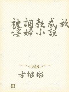 被调教成放荡小淫妇小说封面