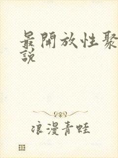 最开放性聚会小说