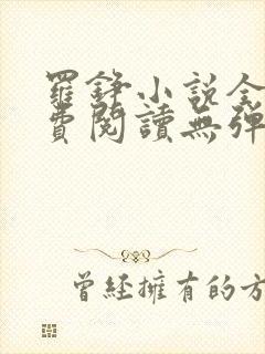 罗铮小说全文免费阅读无弹窗