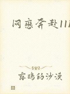 网恋奔赴11h