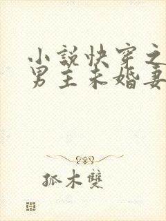 小说快穿之我是男主未婚妻txt