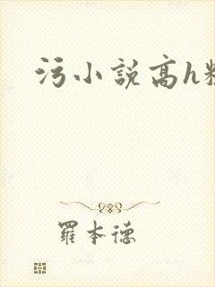 污小说高h粗口
