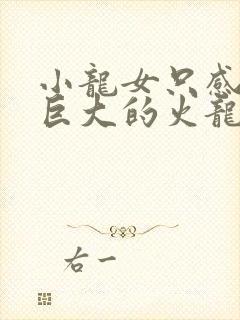 小龙女只感觉那巨大的火龙枪封面