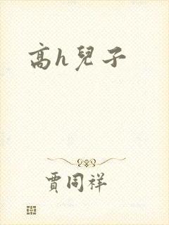 高h儿子
