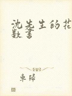 沈先生的花式调数书