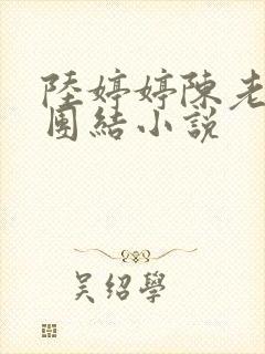 陆婷婷陈老伯大团结小说