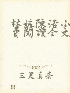 林婉陈浩小说免费阅读全文最新章节封面
