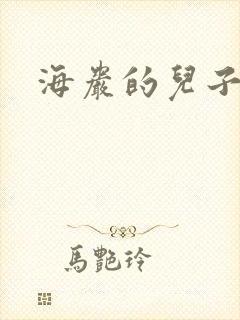 海岩的儿子