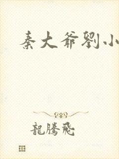 秦大爷刘小静封面