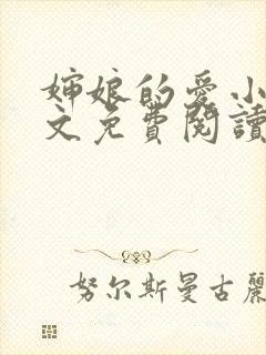 婶娘的爱小说全文免费阅读