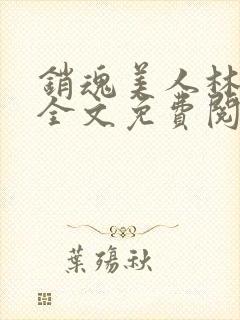 销魂美人林婷婉全文免费阅读小说封面