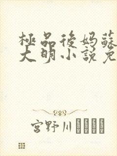 极品后妈苏晴杨大明小说免费阅读全封面