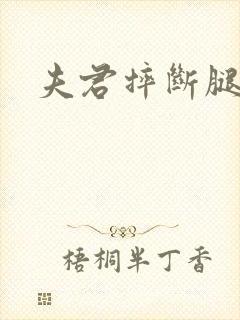 夫君摔断腿后