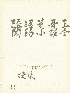 陆昭菱晋王周时阅的小说全文免费阅读无弹窗封面