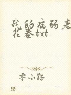 我的病弱老婆 花卷txt