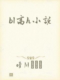 bl高h小说