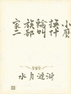 家族轮换小说第二部叫什么名字