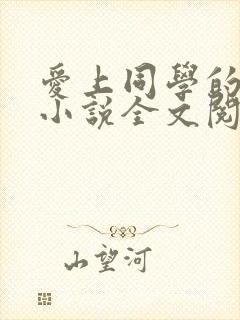 爱上同学的妈妈小说全文阅读