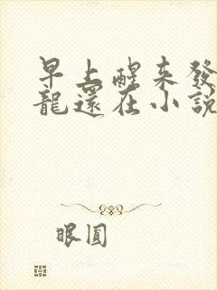 早上醒来发现巨龙还在小说