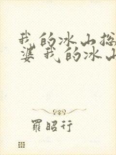 我的冰山总裁老婆 我的冰山总裁老婆
