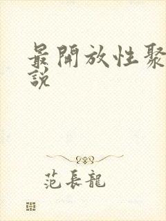 最开放性聚会小说