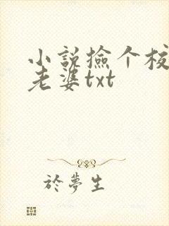 小说捡个校花做老婆txt