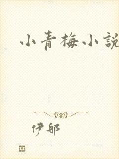 小青梅小说封面