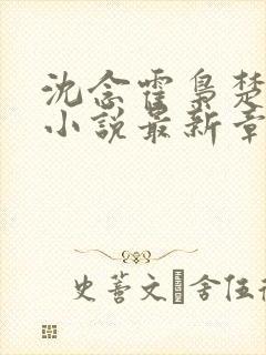 沈念霍枭楚莹莹小说最新章节更新免费阅读