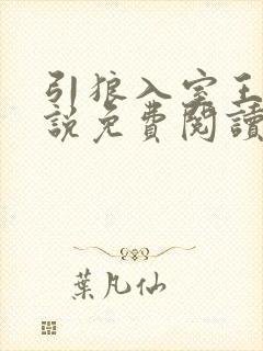 引狼入室王洁小说免费阅读