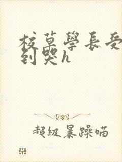 校草学长受被做到哭h