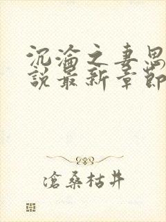 沉沦之妻思琳小说最新章节更新内容