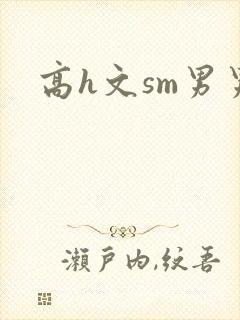 高h文sm男男封面